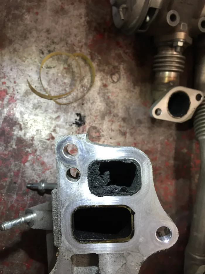 EGR ACCORD